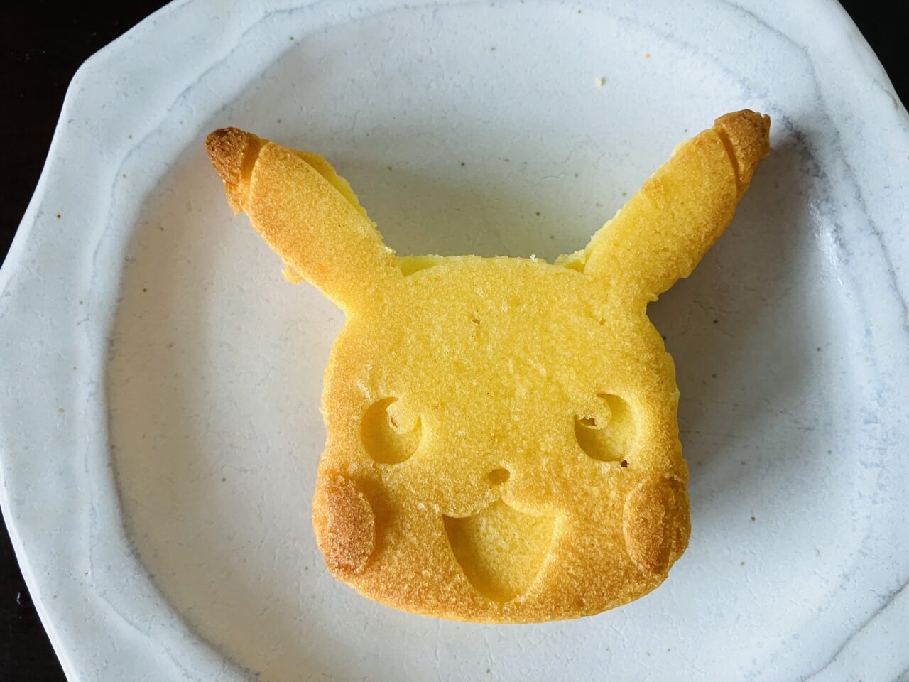 pokemonpan