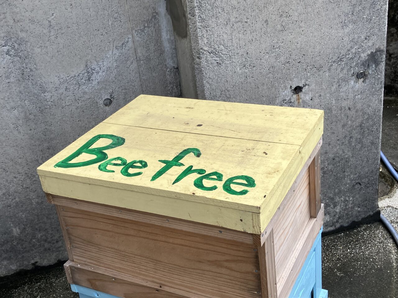 teebeehoney