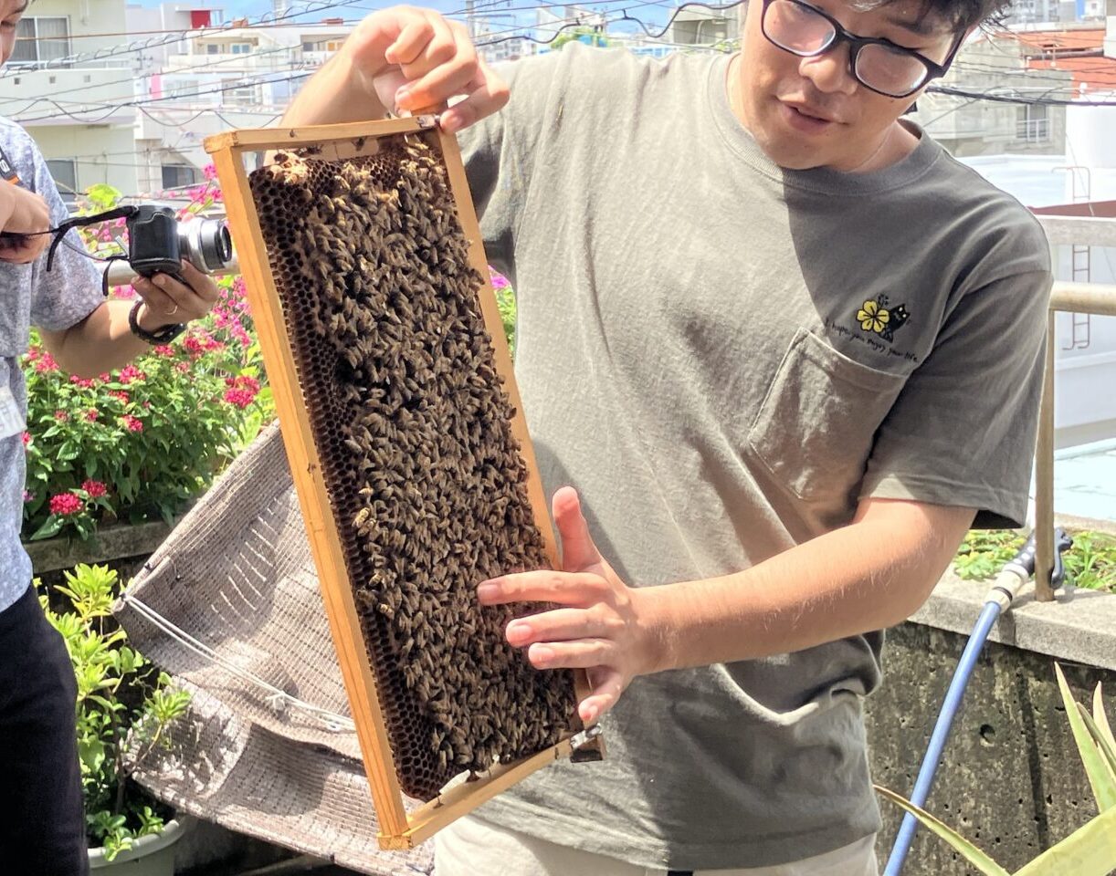 teebeehoney