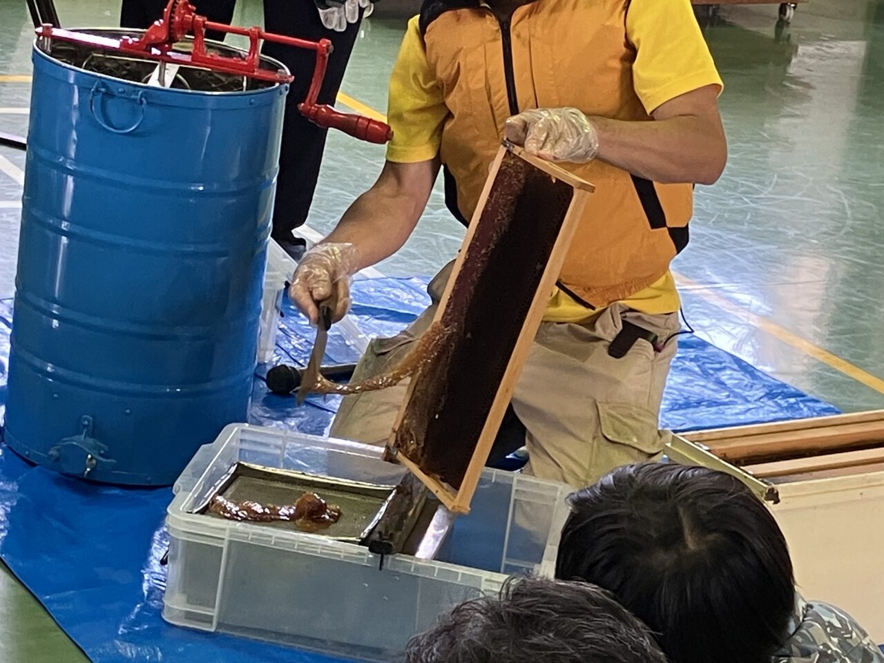 teebeehoney