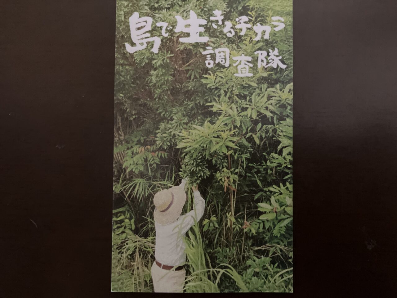 ginowan museum