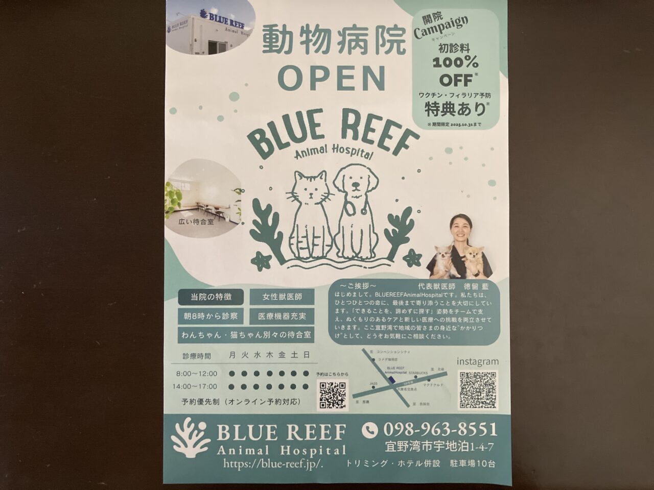 animal hospital blue reef