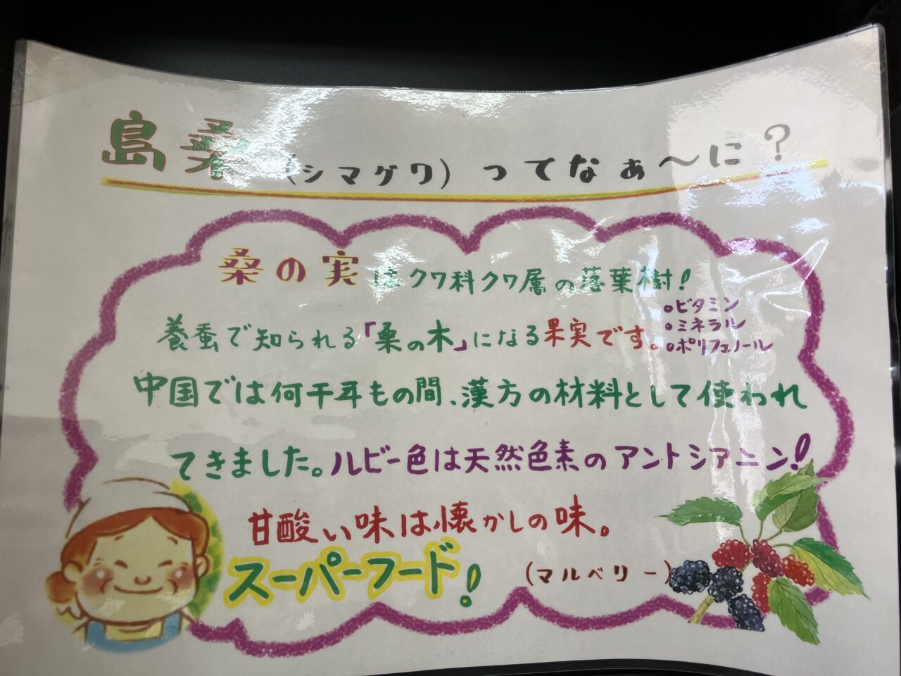 sun silk okinawa biken