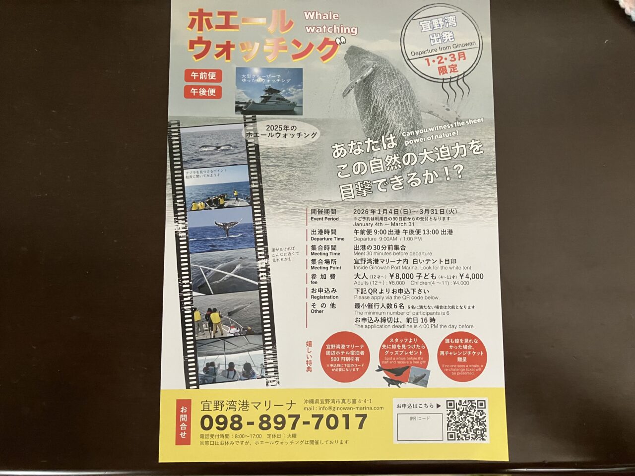 ホエールウォッチング