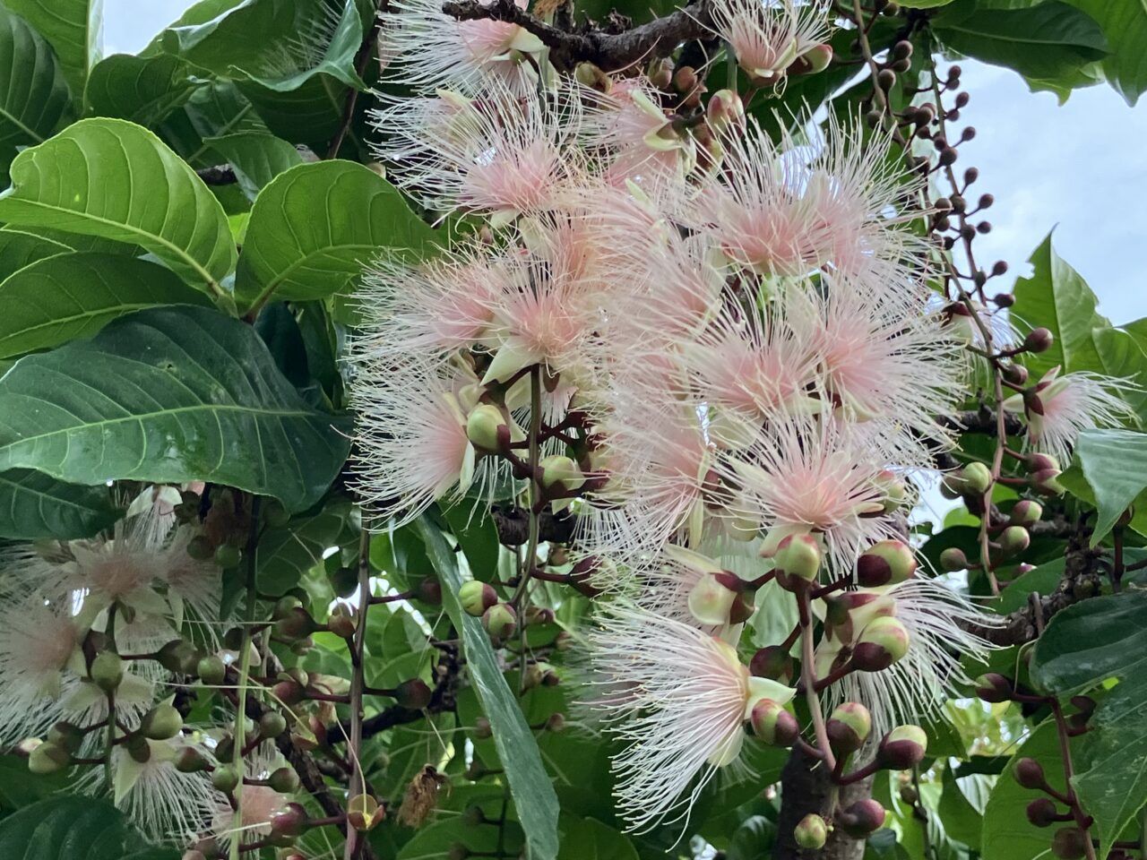 いこいの市民パーク