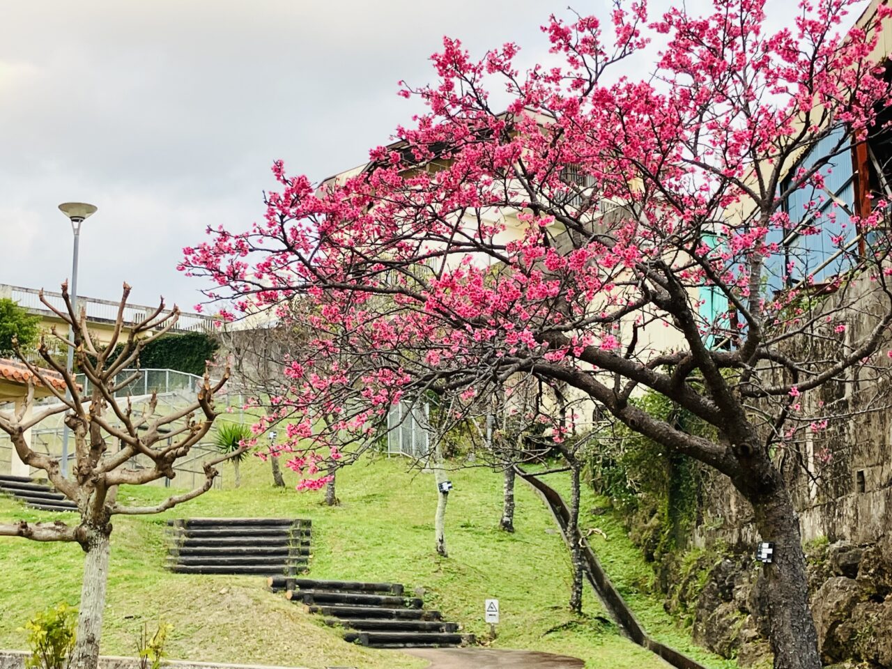 いこいの市民パーク