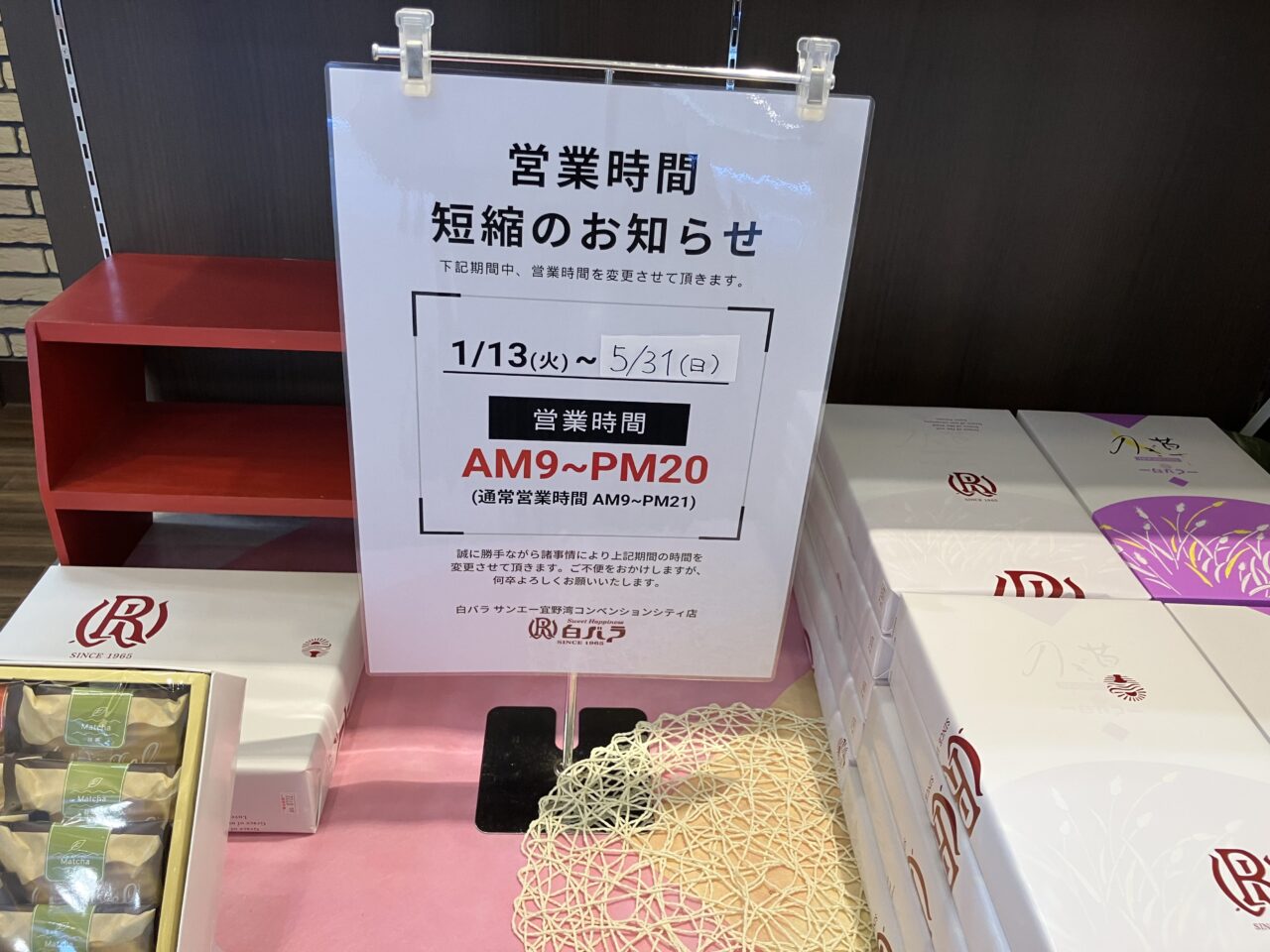 白バラ