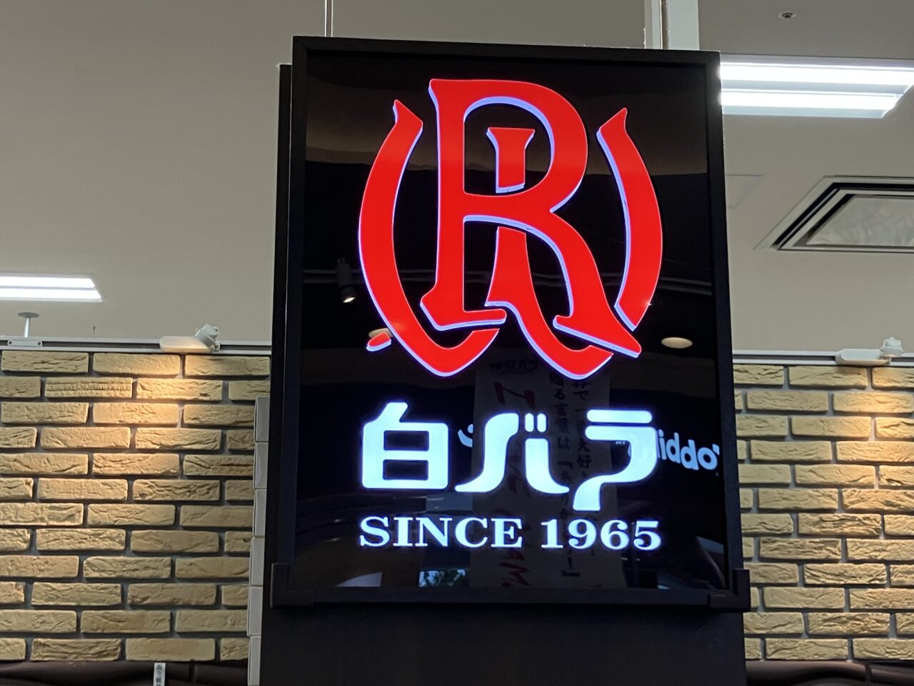 白バラ